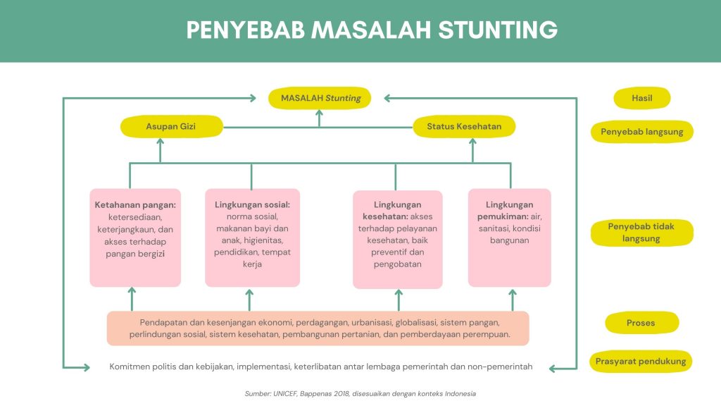 Stunting pada Anak Penyebab Dampak dan Cara Pencegahannya